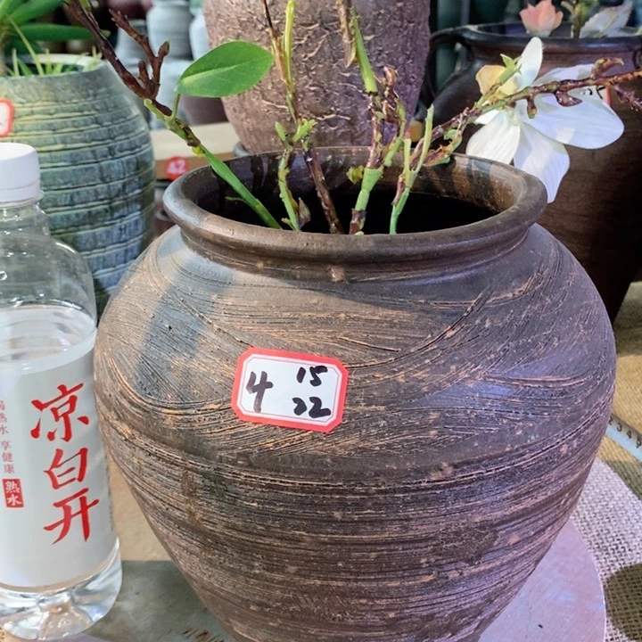 【闪购商品】正品专柜