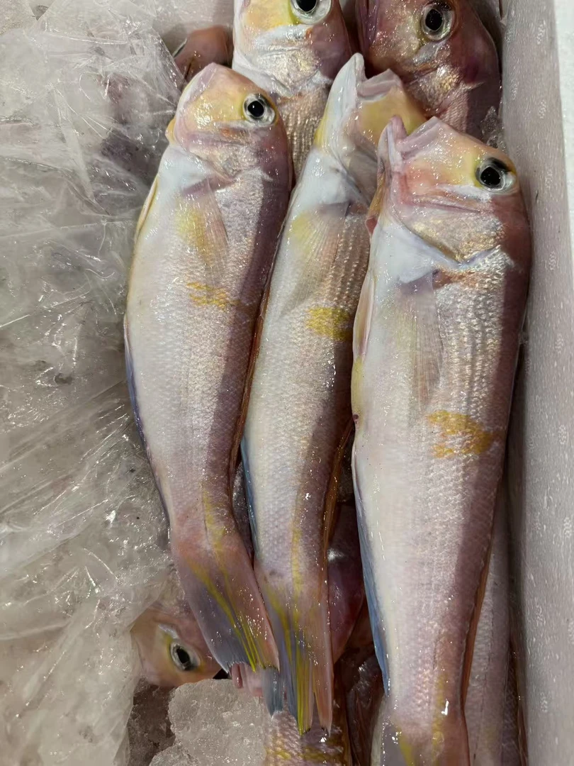 [东海野生斧头鱼4斤]东海野生深海海捕顺丰包邮