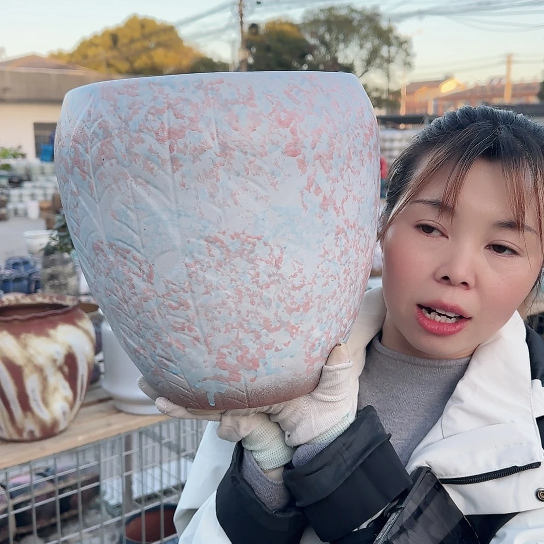 王嫂花盆直播1129-308高27口25