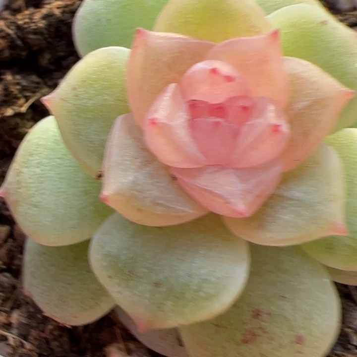 童***机纸飞机专拍链接啊啊啊啊