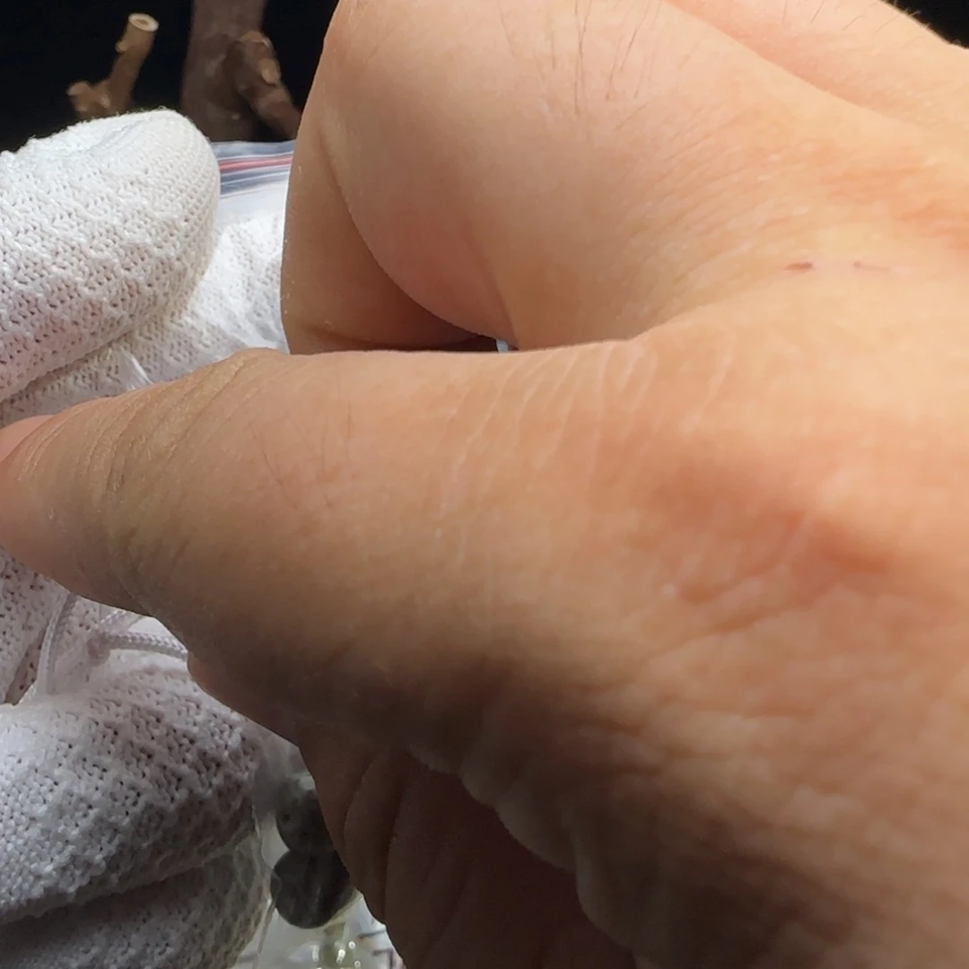 鱼***粥星月菩提手串9老邢散2