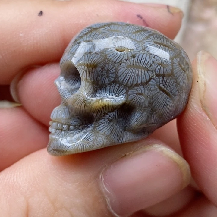 硅化珊瑚（珊瑚玉）未镶嵌颈饰有瑕 小