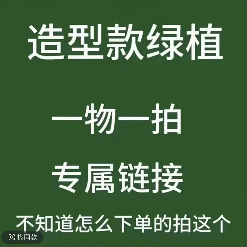 【一物一拍】精品绿植盆栽