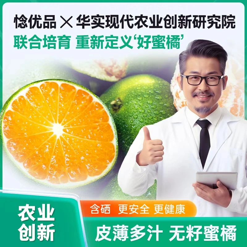 【农业研究院成果】VC果冻蜜桔柑橘薄皮酸甜无核无籽橘子新鲜现摘桔