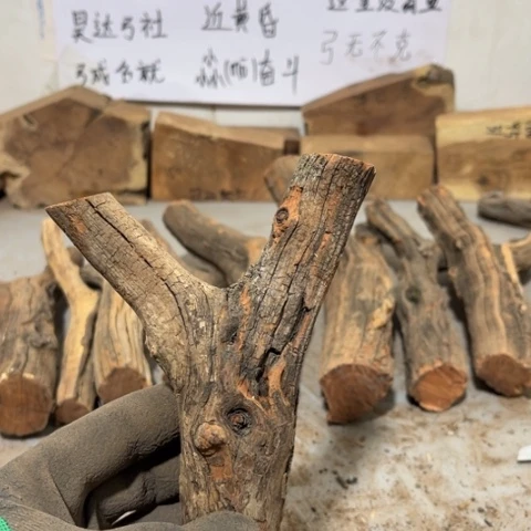 大果紫檀（缅甸花梨）凉