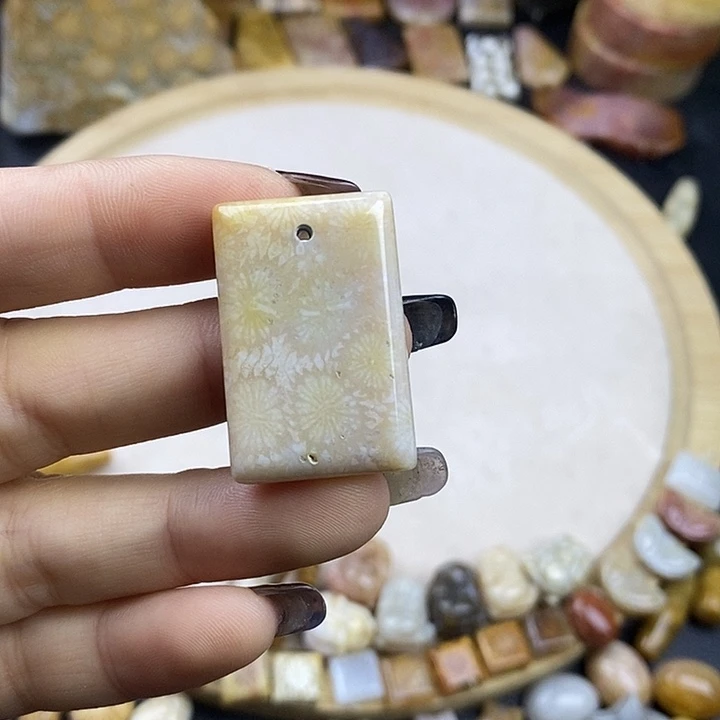 硅化玉未镶嵌颈饰1