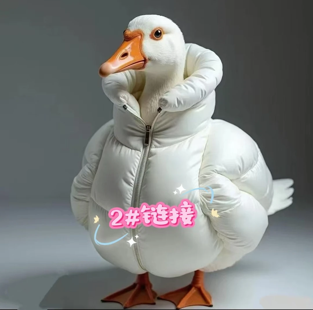 2#【编号200-299】微瑕清货福利 高品质时尚女装