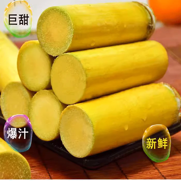 【正宗广西】黄金甘蔗原生态清甜多汁新鲜当季水果精选中段黄皮甘蔗