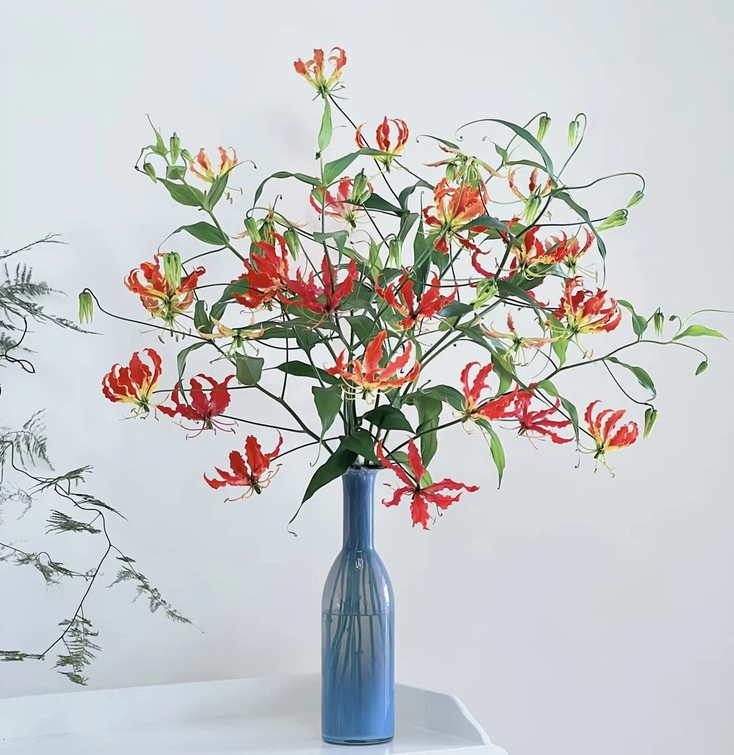 【拾花拾木】嘉兰百合云南家庭年宵鲜花云南昆明嘉兰花红色花瓶