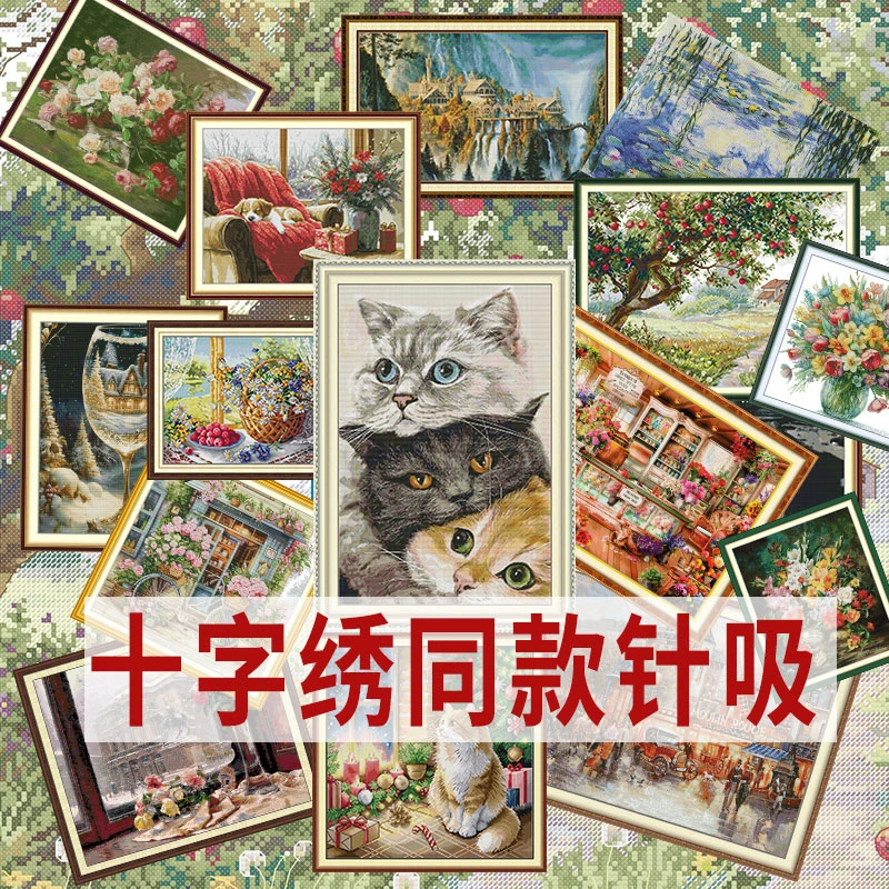 【同款针吸链接】十字绣2025新款工具针吸【有双背吸】