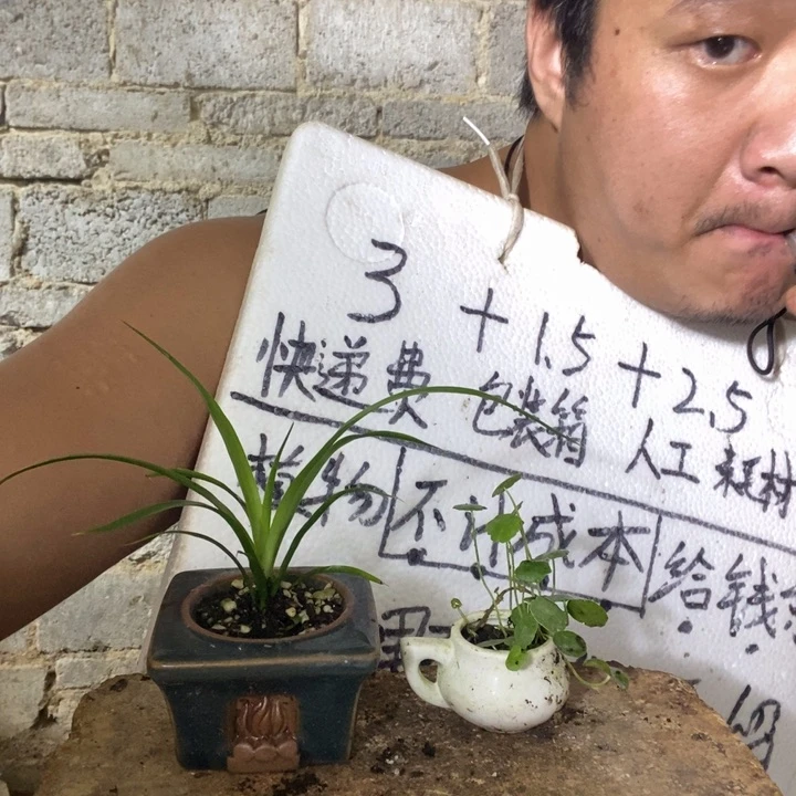 退款拉黑一物一拍344