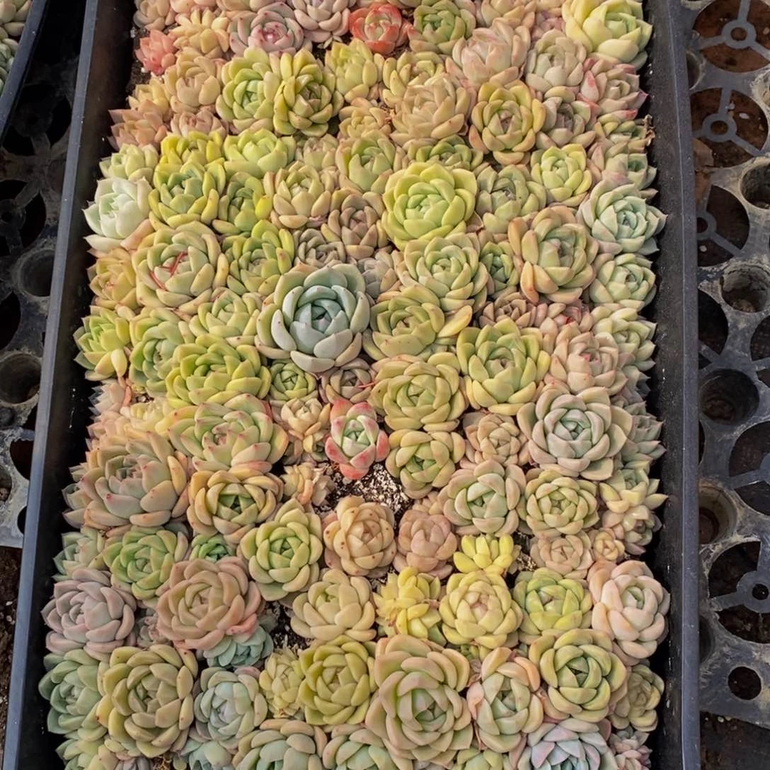 雪***书067的人在一起的时候就