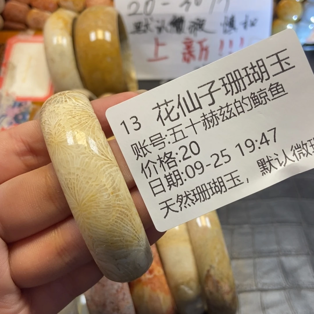 五***鱼硅化珊瑚（珊瑚玉）未镶嵌珠宝半成品13