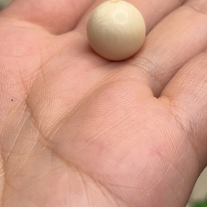 硅胶合金天然保真