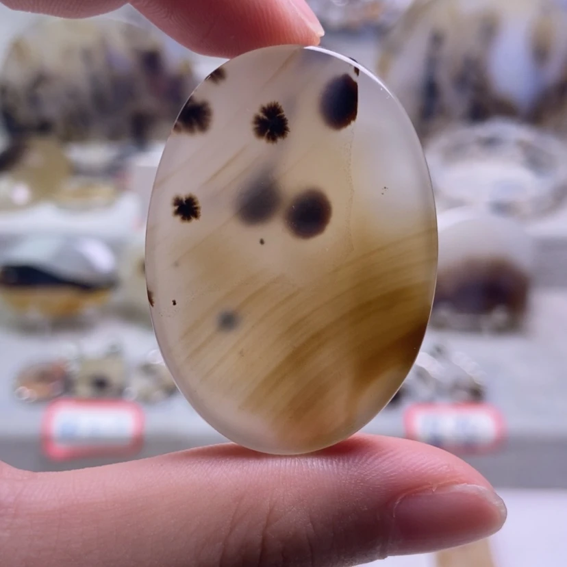 【闪购商品】合金颈饰玛瑙/玉髓