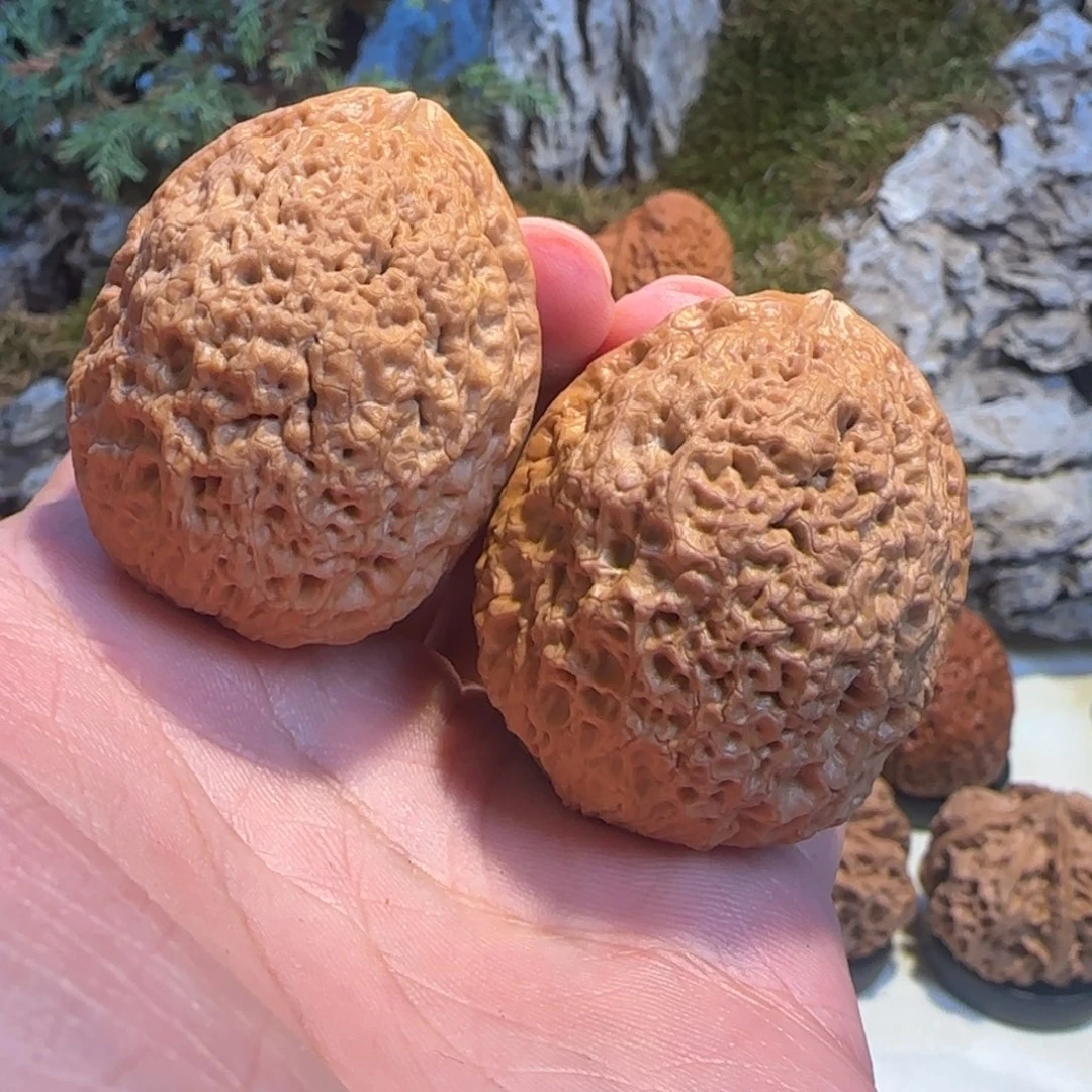 蛋***面把件文玩核桃粗筋罗汉头