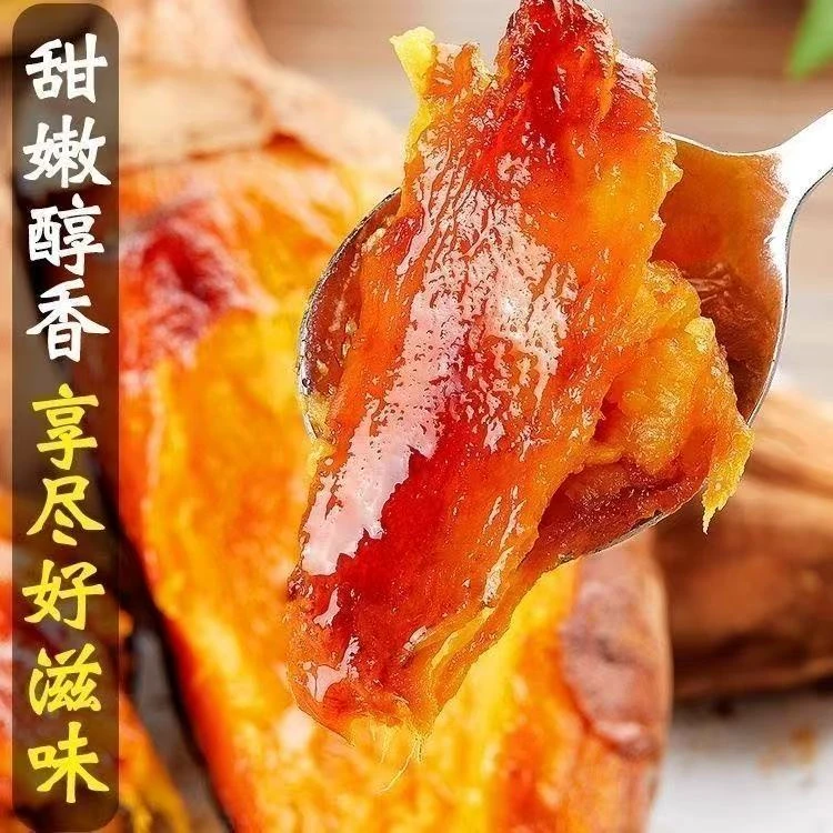 当季新鲜现挖西瓜红蜜薯红心蜜薯原产地沙土种植软糯香甜营养丰富