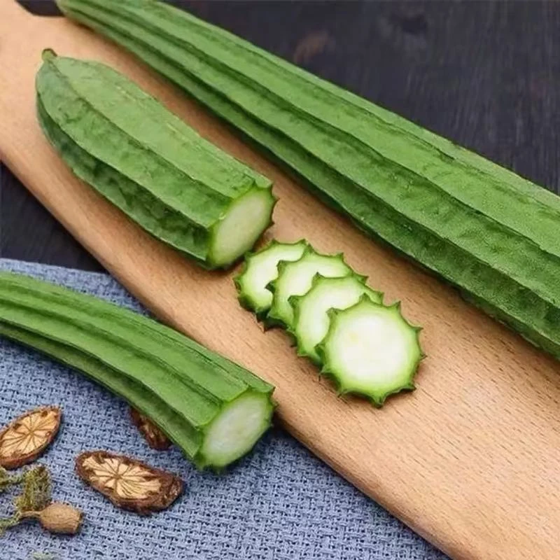 籽种拍三送一长香丝瓜种子/大肉丝瓜/菱角丝瓜种子四季播种蔬菜种
