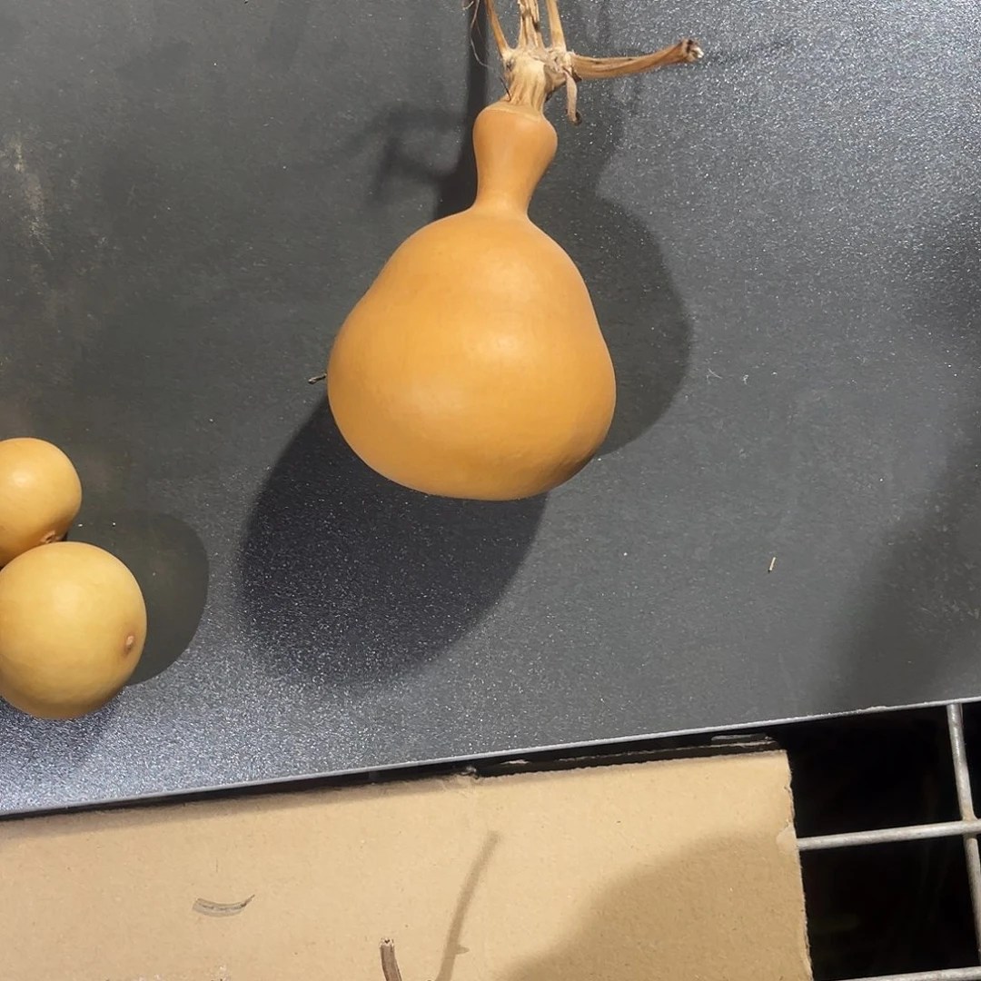 八****哈哈哈哈哈哈哈哈哈哈68