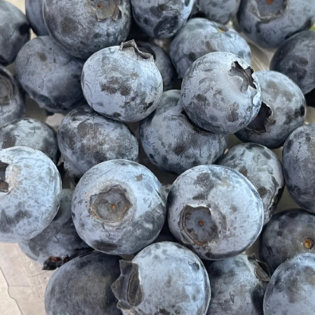 云南花香蓝莓18➕15元/一盒17mm-21mm（一盒125g)蓝莓同城送云南省