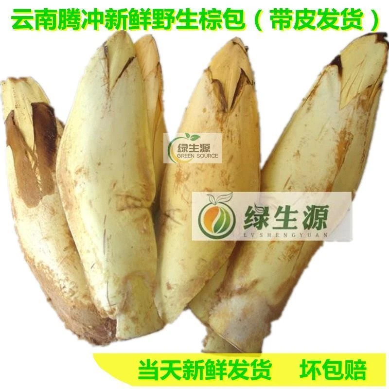 云南产地直销食用农产品腾冲野生棕包米棕笋粽包新鲜野菜500g包邮