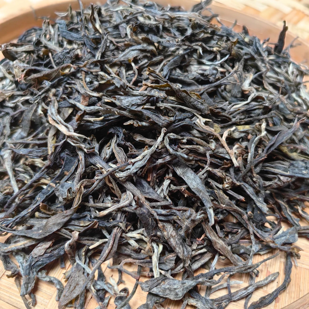 2023南撒古树茶5号