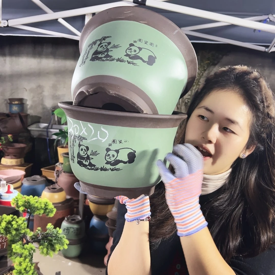 30+30绿色熊猫平角金钟