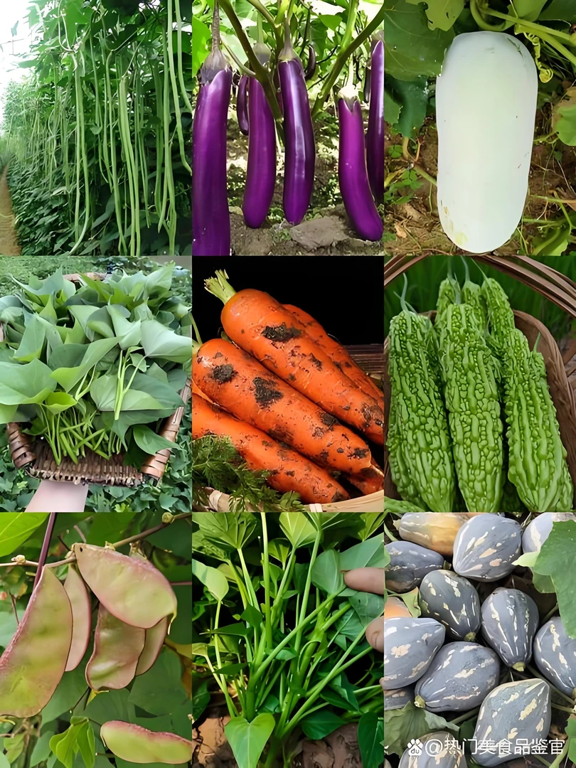 广西博白特色农产品鲜果