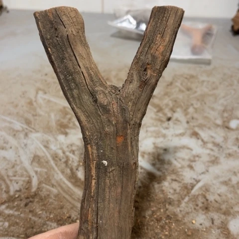 大果紫檀（缅甸花梨）捌*