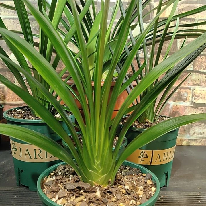 完全开放111111111111