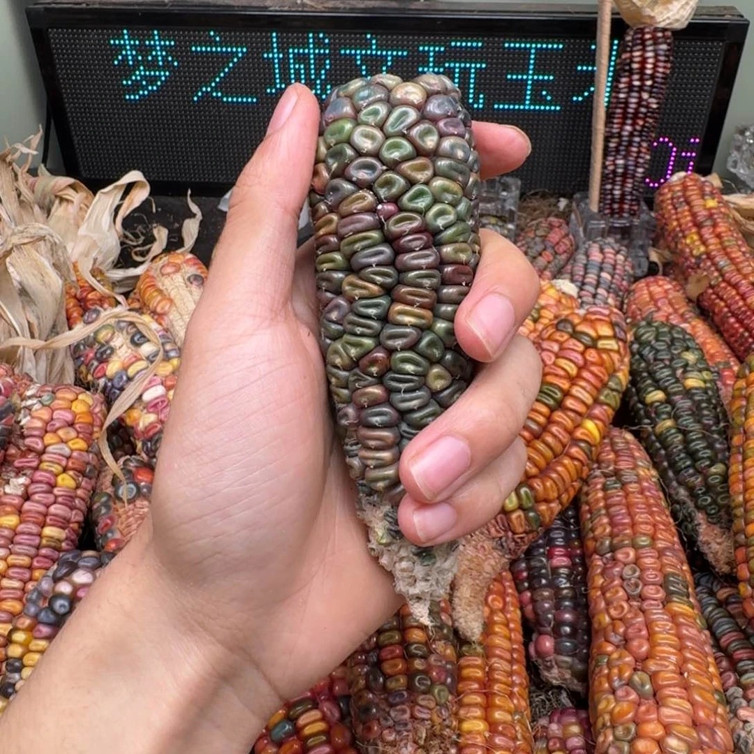 柏香籽/百香籽吊坠瀞