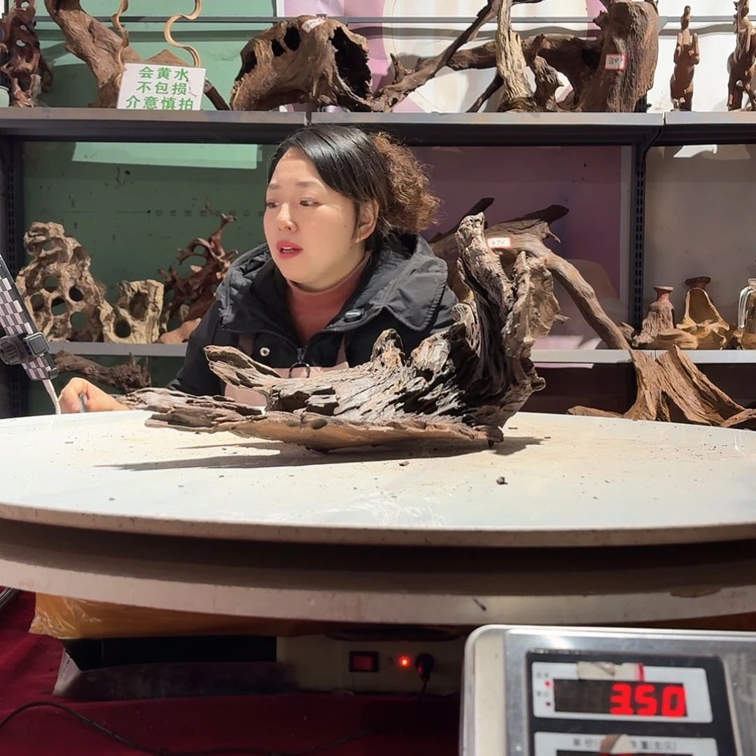 倍褚沉木不包损必褪色江*生7280