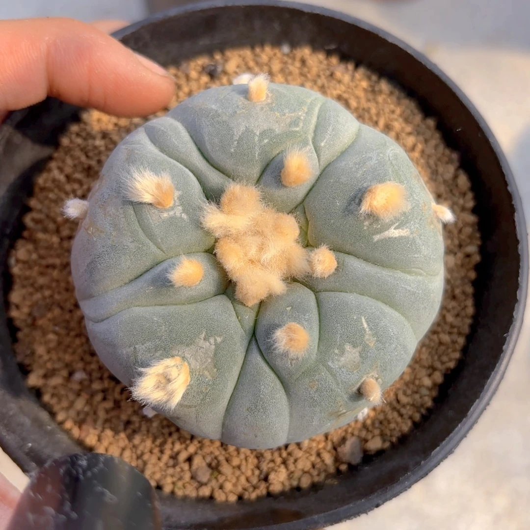 G58 g g g g g g g g