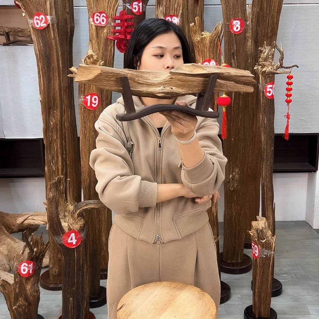 沉香摆件海南沉香摆件