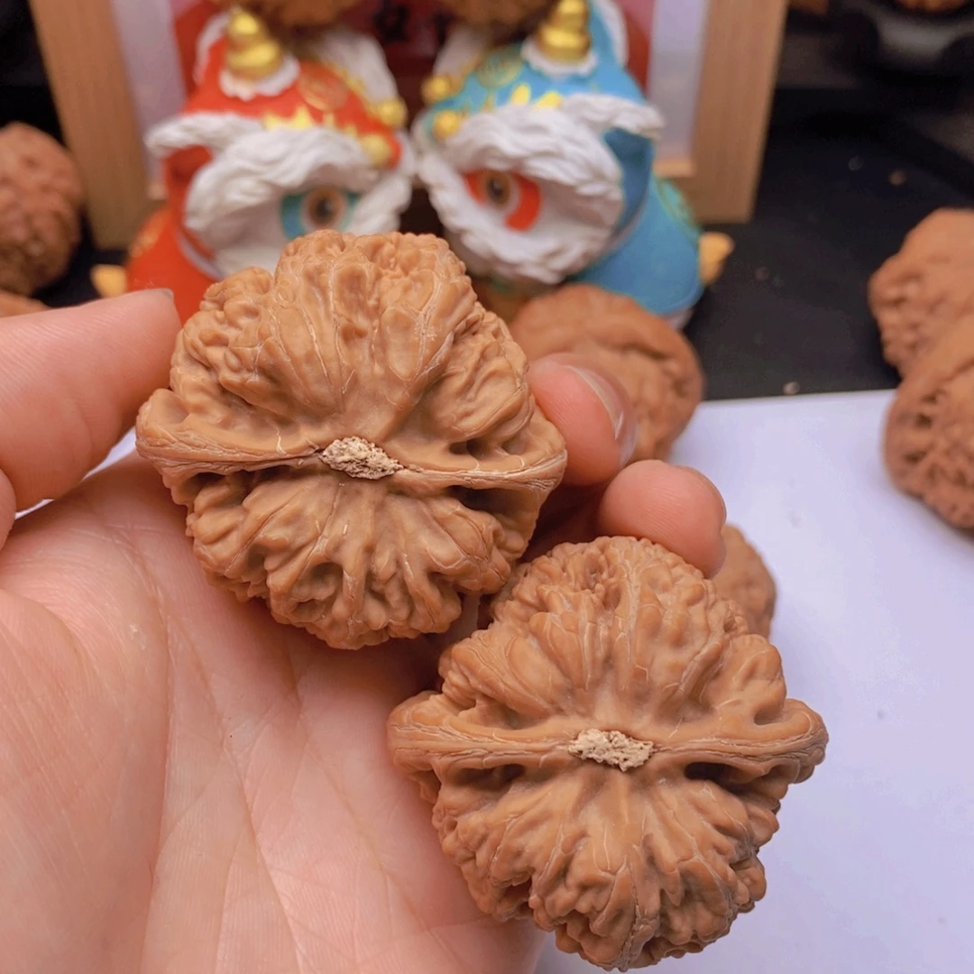 野***糠45尺精品大粗筋老树A574
