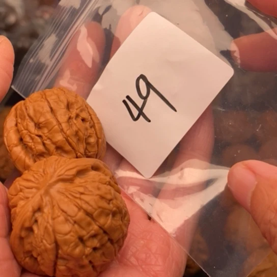 桃核吊坠心***你49甲骨纹狮子