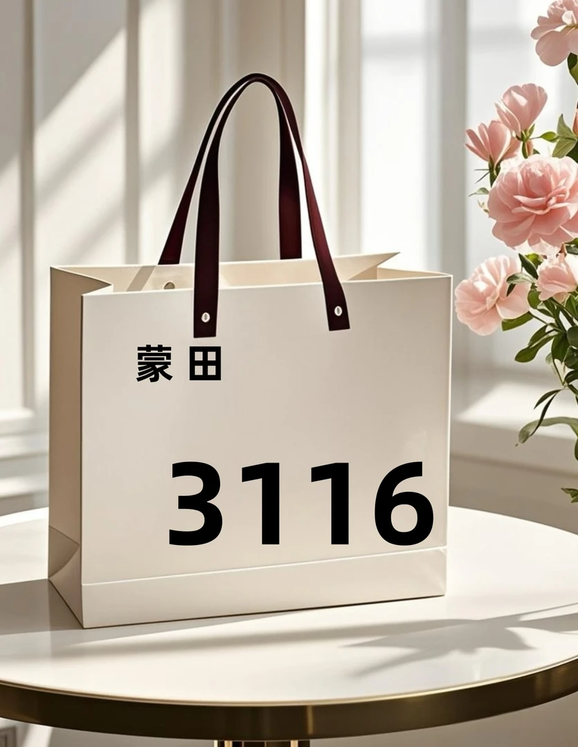 3116潮流新款【尺寸25*8.5*14】单肩斜挎蒙田