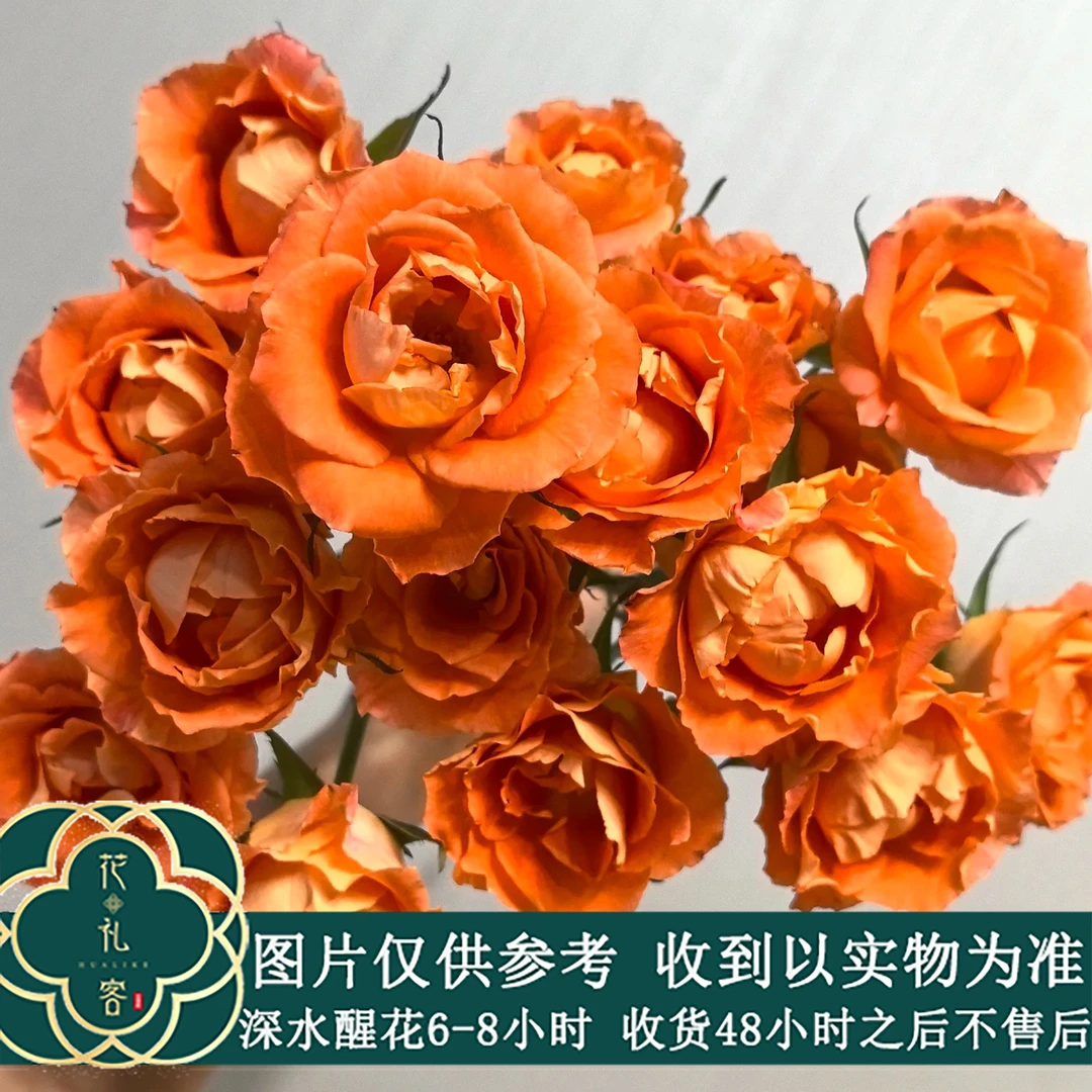 云花巷# 【卡内苹果】鲜花优选基地顺丰直发