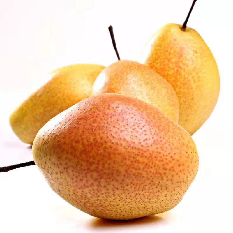 山西运城红香酥梨新鲜水果整箱包邮汁多香甜梨子一件代发