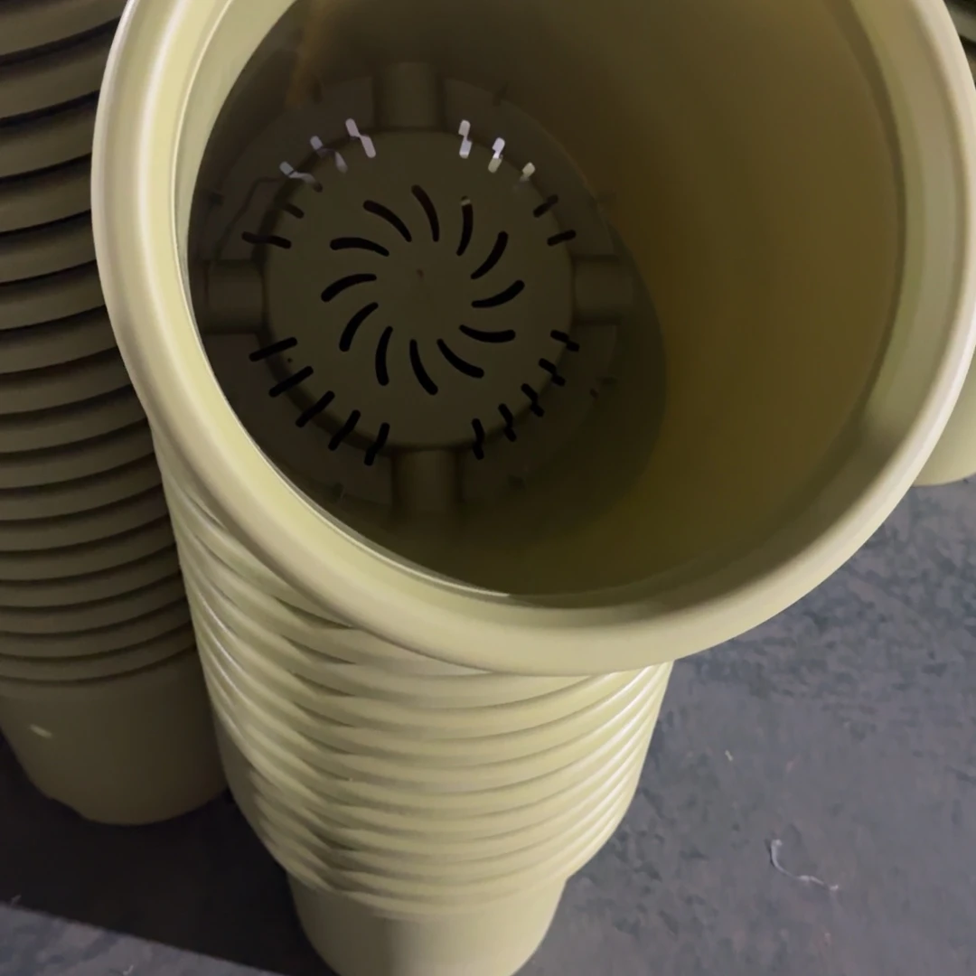 四季8号无拖果绿3