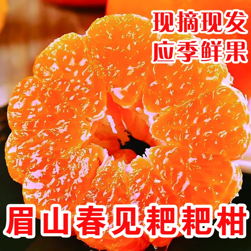 眉山丹棱春见耙耙柑多汁自然成熟现摘发货精品果5斤/10斤