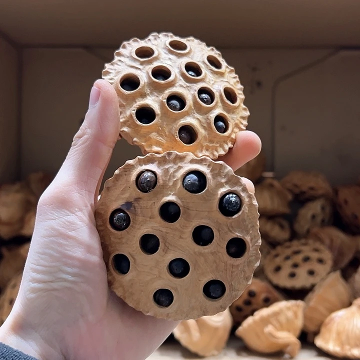 柏木快*我们都是好孩子呀