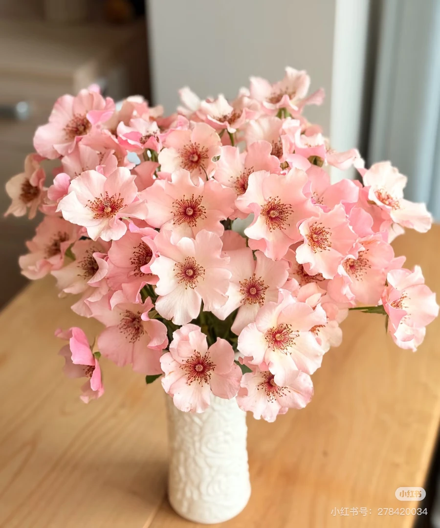 （馨源）单提贝斯10支！三件顺丰空运20%不售后