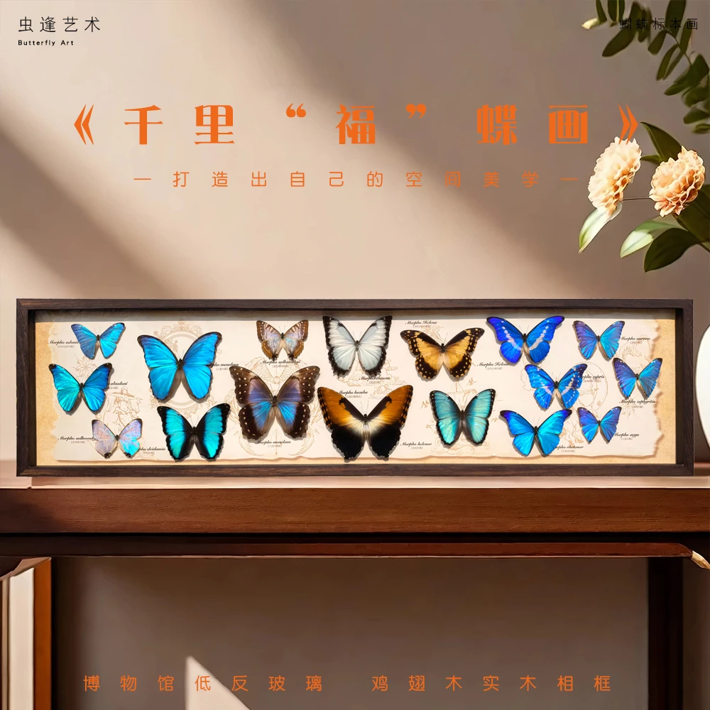 《千里福蝶图》真蝴蝶标本装饰画高档家居摆件客厅高级挂饰珍贵收藏