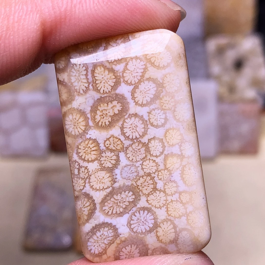 硅化玉珠宝奇石合金?****玉