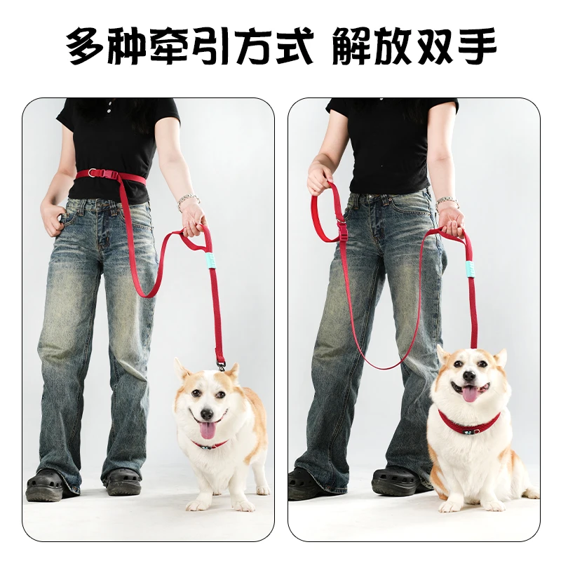 【七彩绳-多功能】狗狗牵引绳防爆冲专业训狗绳适合各犬种遛狗使用