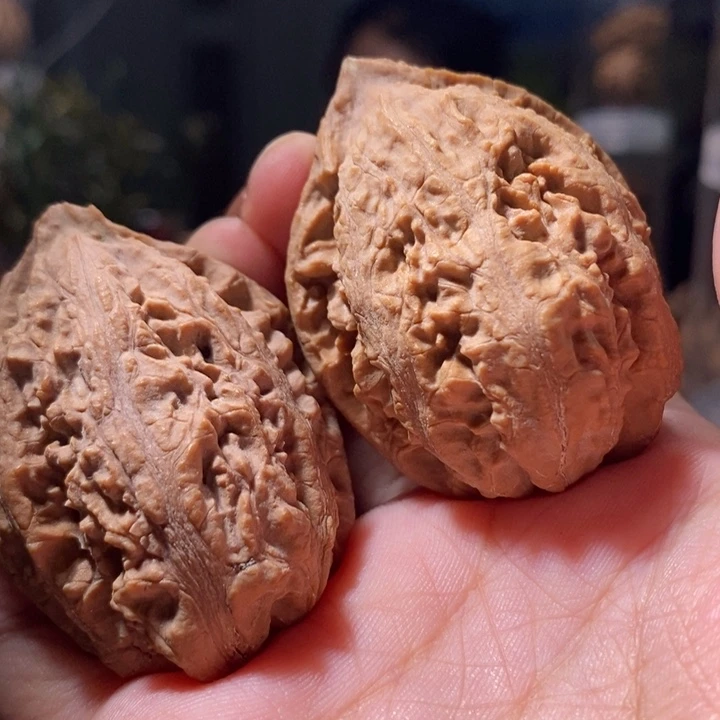懂***王文玩核桃吊坠东北楸子 113