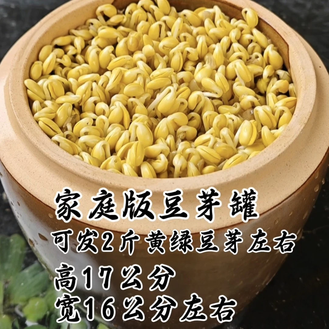 家庭版陶瓷缸专用发豆芽神器家用打孔