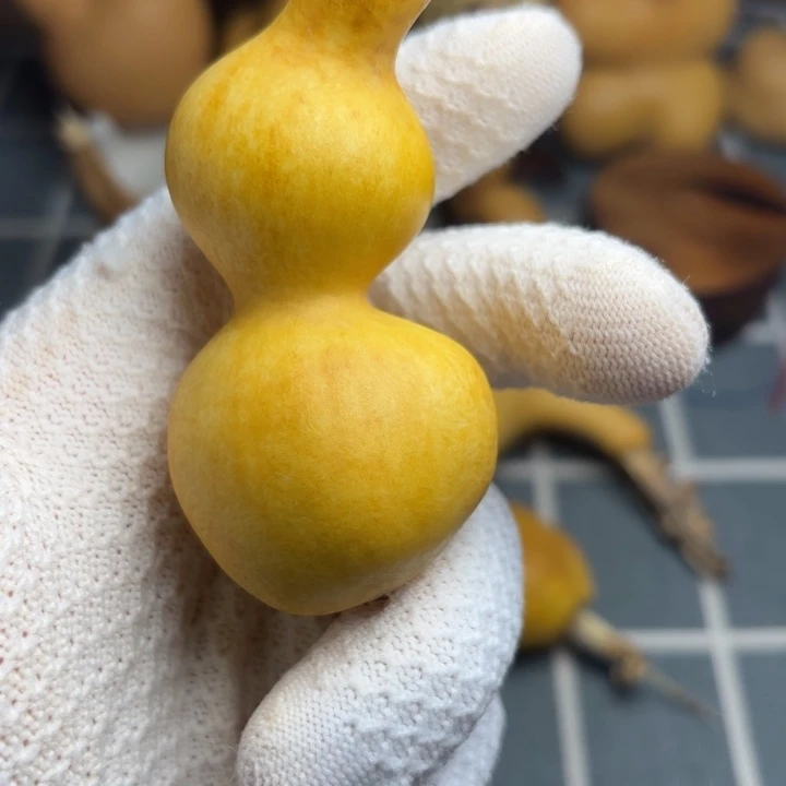 j***a6666666666666666666