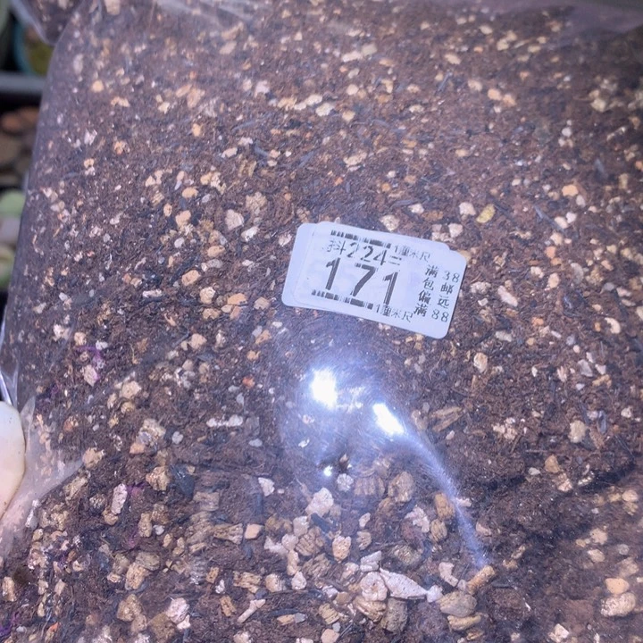 精品生石花224.171半颗粒2升装